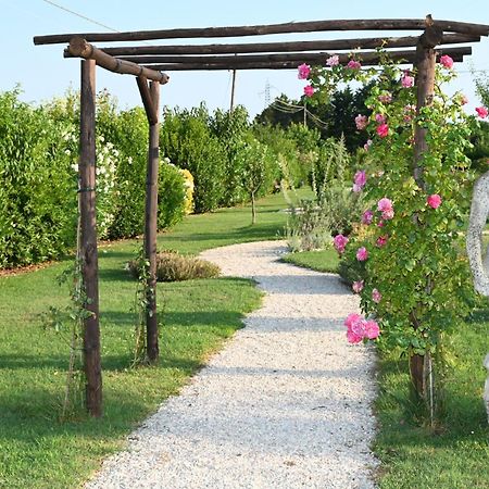 I Delfini - Natural B&B Cesena Bagian luar foto