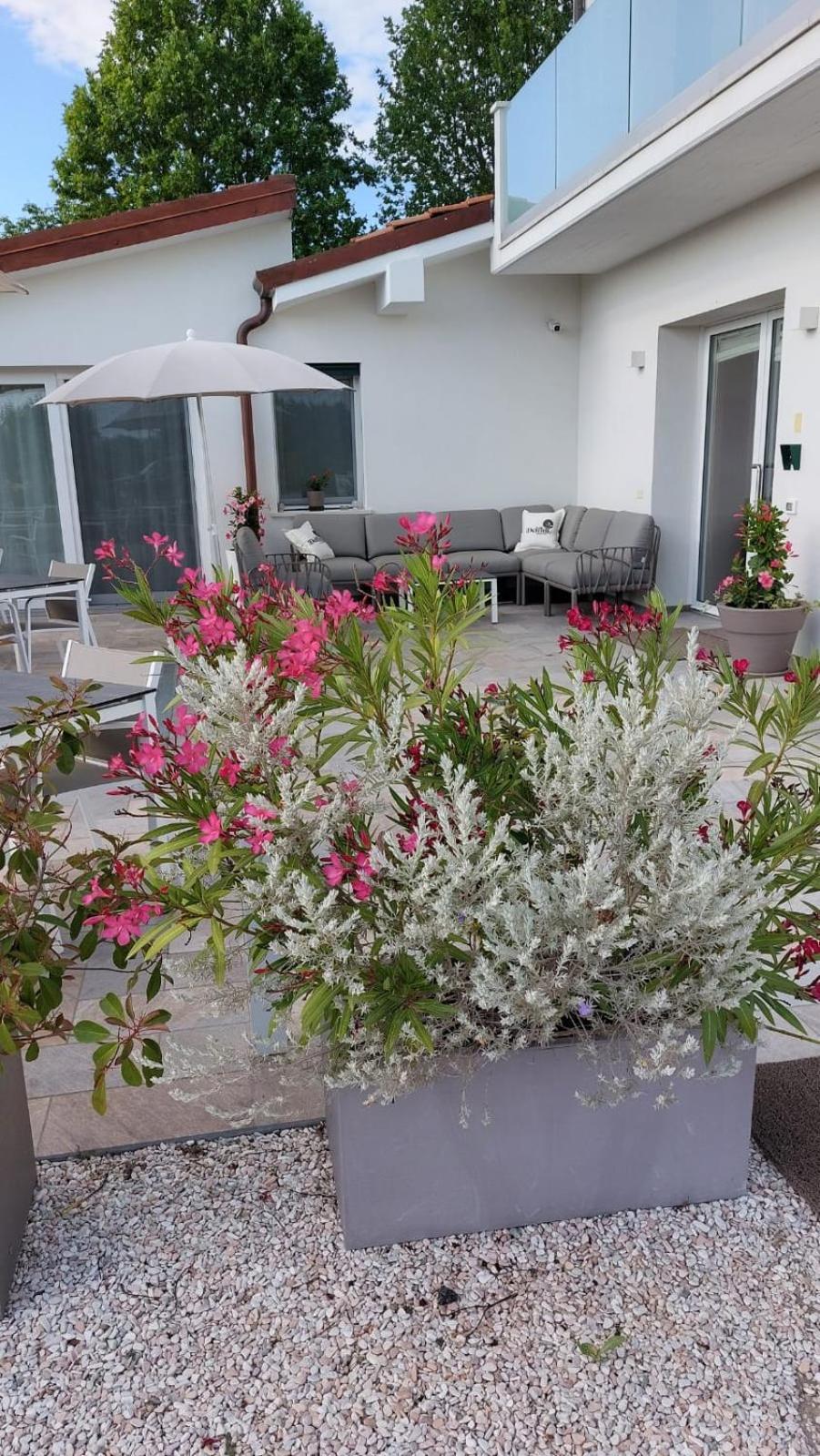 I Delfini - Natural B&B Cesena Bagian luar foto