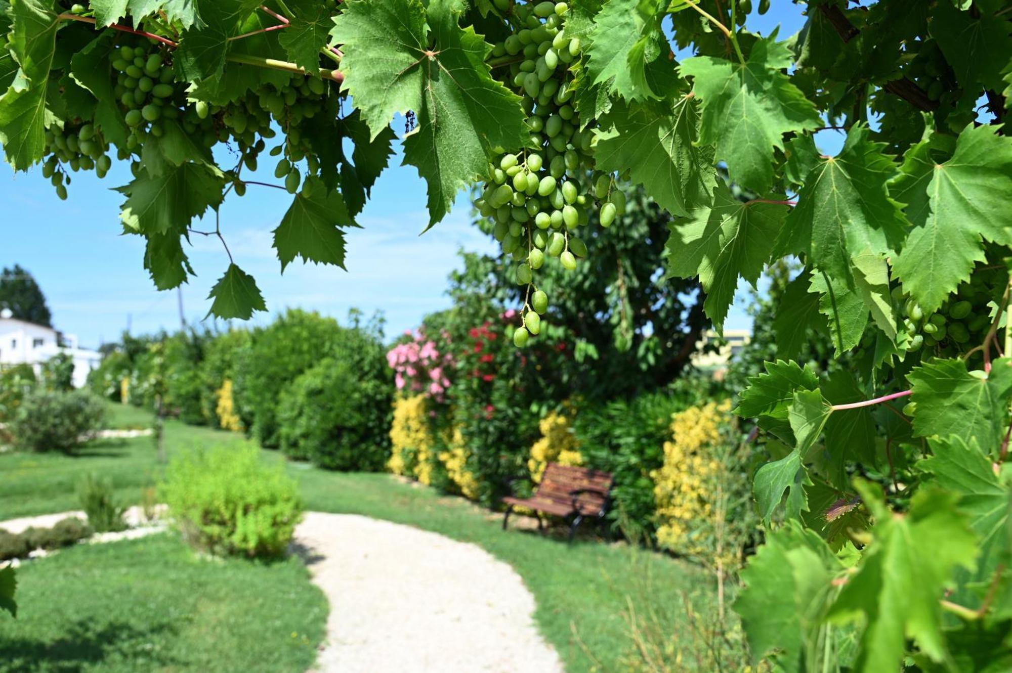 I Delfini - Natural B&B Cesena Bagian luar foto